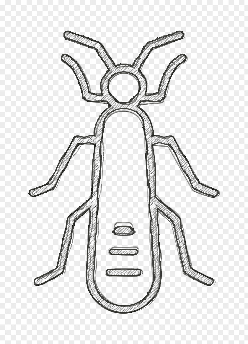Insects Icon Stonefly PNG