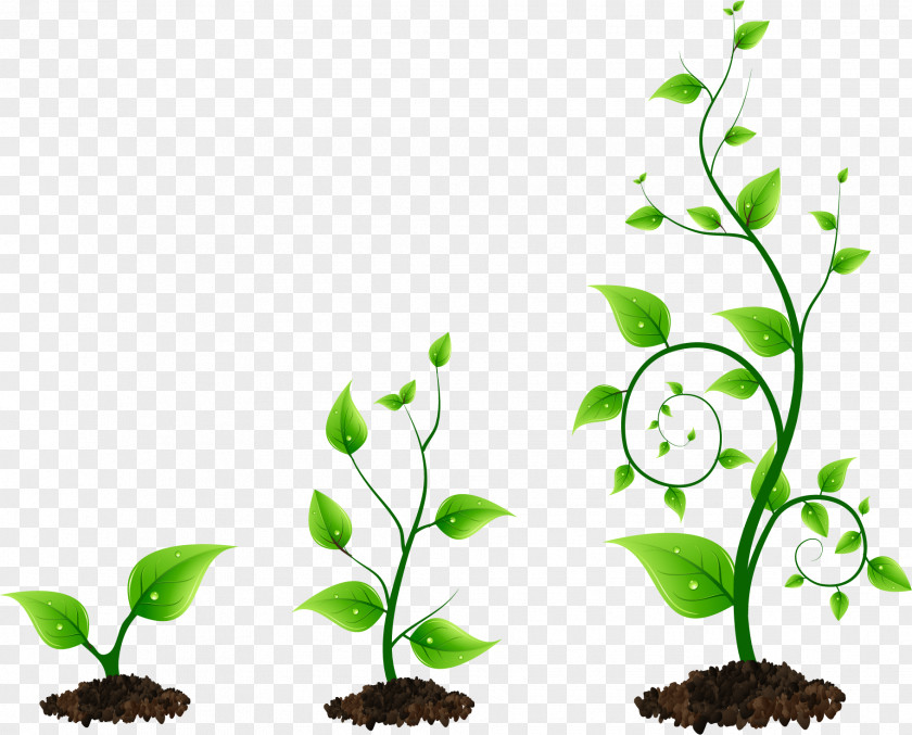 Plant Grow Light Bud Clip Art PNG