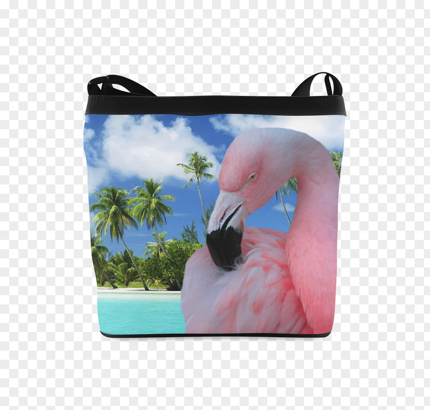 Bird Greater Flamingo Flamingos Bathroom Blanket PNG