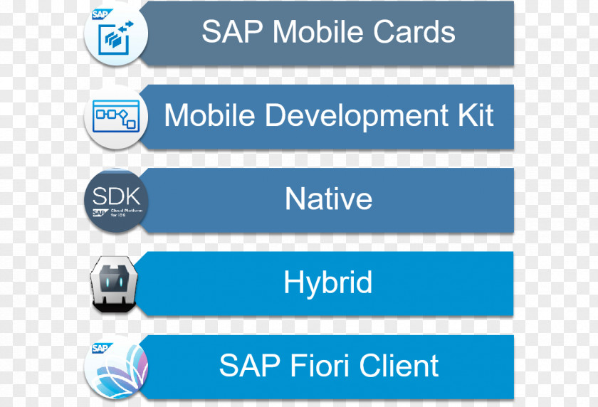 Cloud Computing SAP Platform Mobile SE HANA PNG