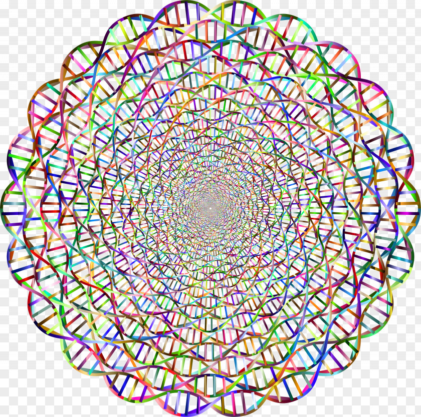 DNA Nucleic Acid Double Helix Circle PNG