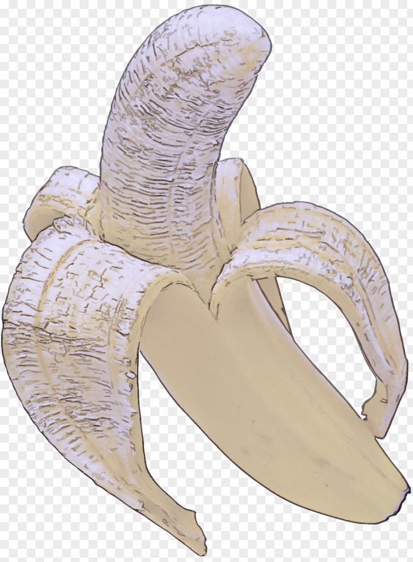 Drawing Ear Banana Family Plant PNG