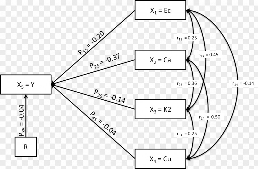 Edge Diagram Path Analysis Plot Variable PNG