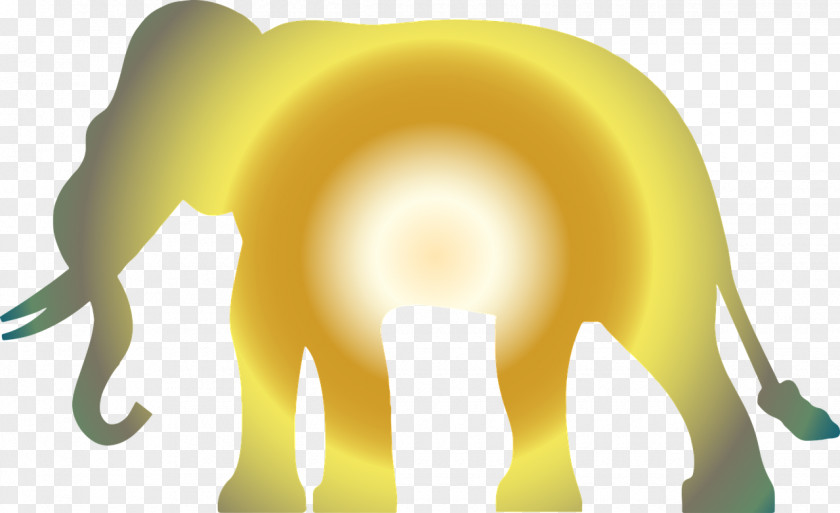 Gradient Glow Elephant The Elephants Lion School PNG