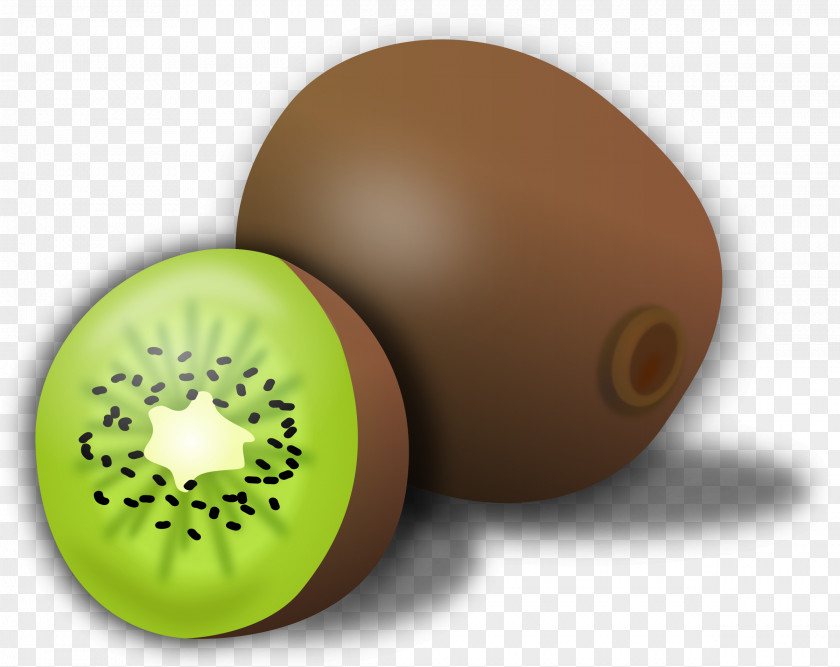 Kiwi Kiwifruit Clip Art PNG