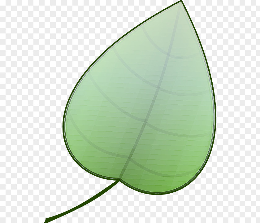 Leaf Green Plant PNG