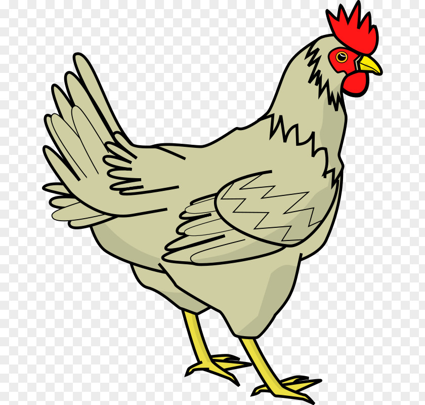 Picture Chicken Image Clip Art PNG