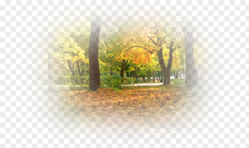 Season Saratov Oblast Autumn Abscission Clip Art PNG