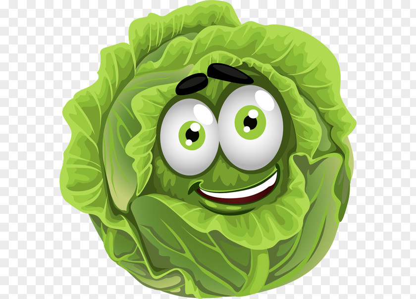 Cabbage Clip Art Vector Graphics Vegetable Illustration PNG