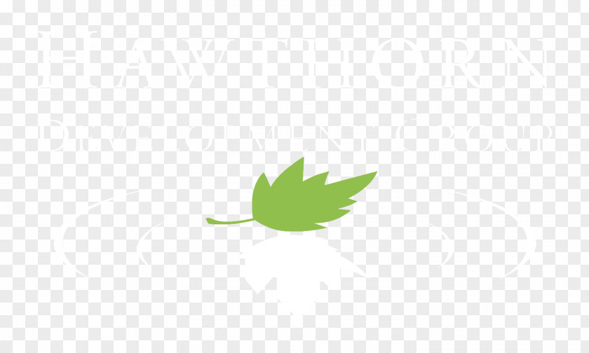 Eastern May Hawthorn Road Logo Leaf Desktop Wallpaper Font Product Design PNG