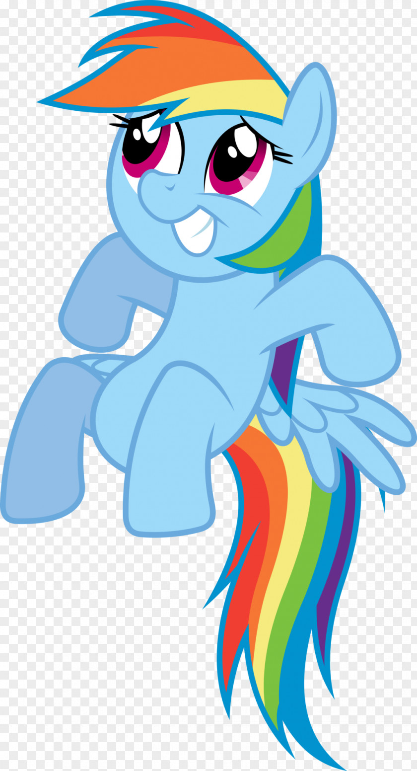 Horse My Little Pony Rainbow Dash Art PNG