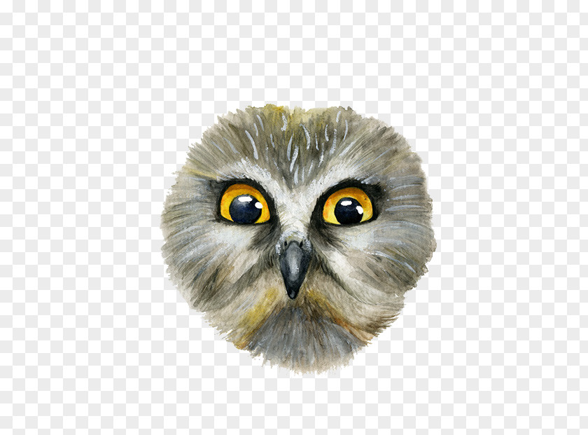 Owl Face Snowy Eurasian Eagle-owl Scops PNG