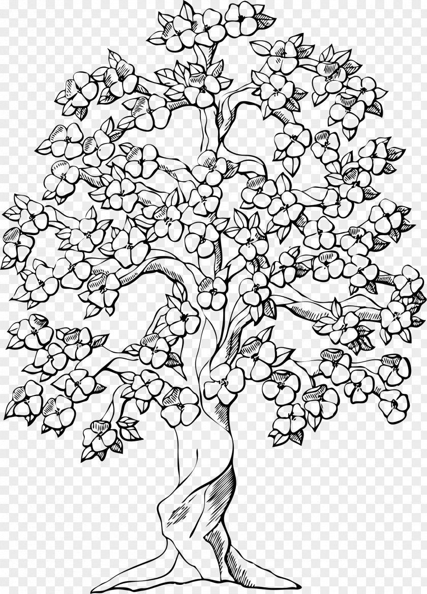 Albero Della Vita Coloring Book Tree Apple Almond Child PNG