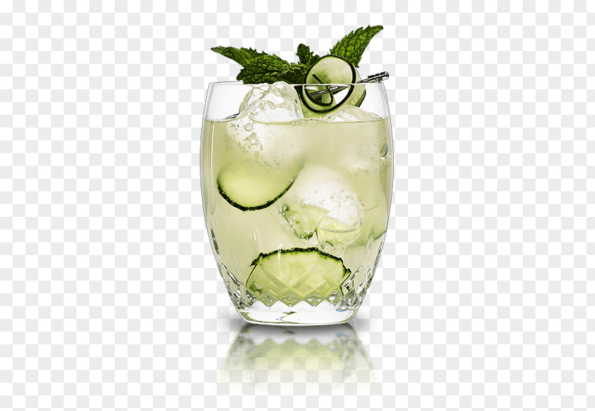 Cocktail Gin And Tonic Water Cointreau PNG