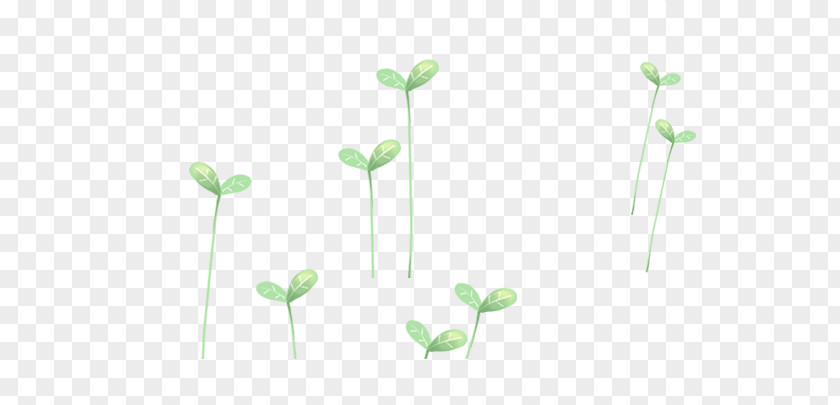 Green Grass Leaf Pattern PNG