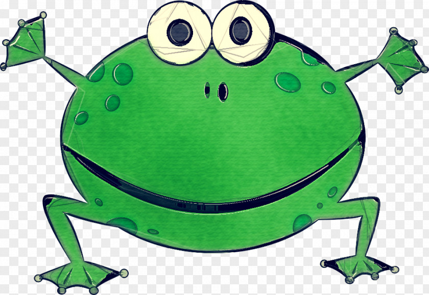 Leaf Hyla Green Clip Art Cartoon Frog Shrub PNG