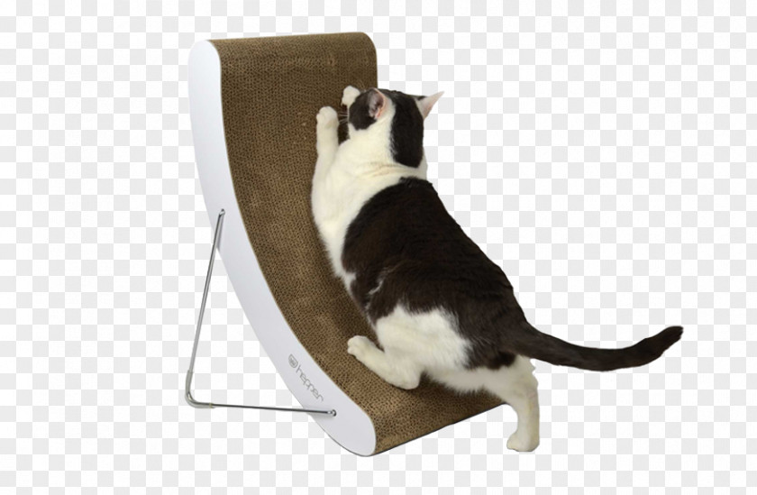 Mouse Cymric Scratching Post Manx Cat Tree PNG