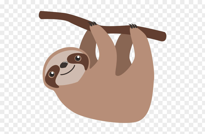 Sloth Clip Art Cuteness Cartoon Illustration PNG