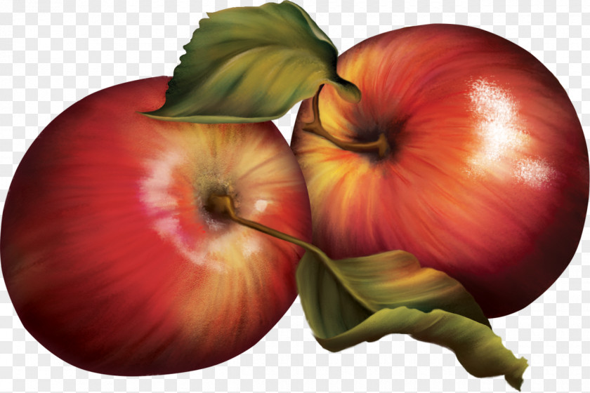 Apple Fruits Et Légumes Vegetable Food PNG