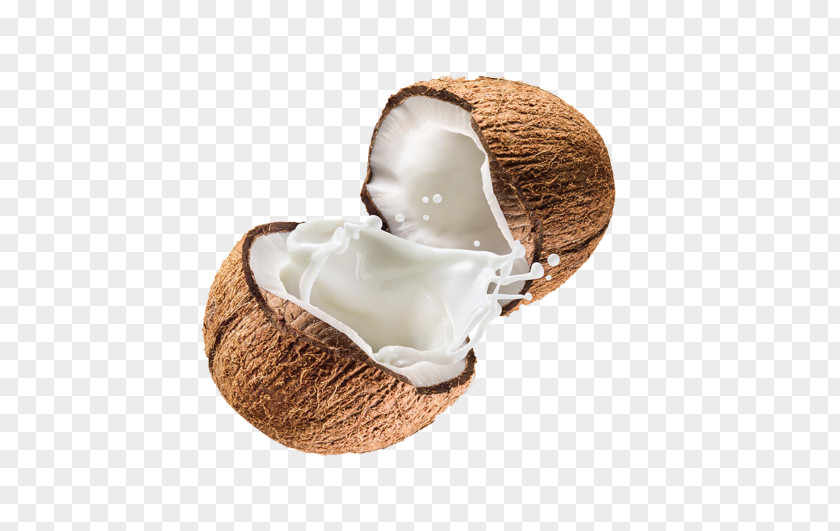 Coconut Cream Food PNG