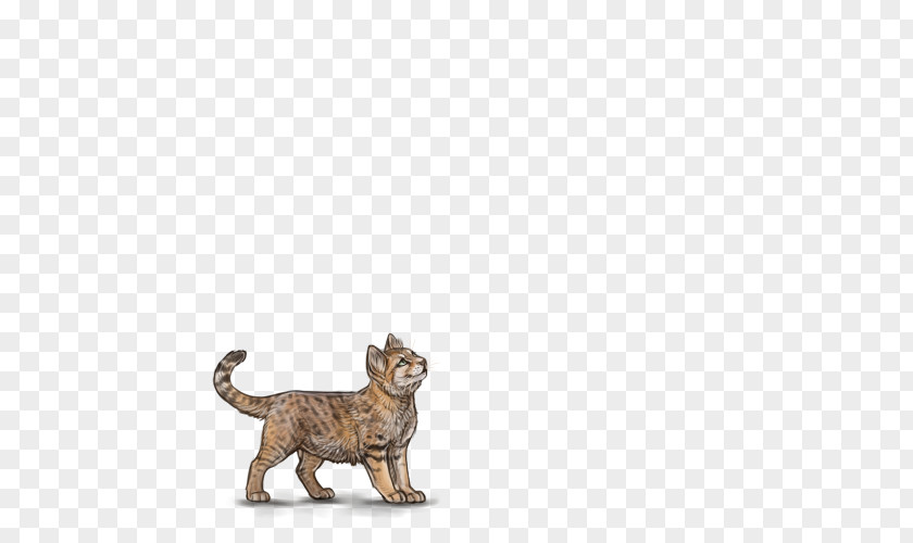 Female Lion Cat Tiger Terrestrial Animal Wildlife PNG