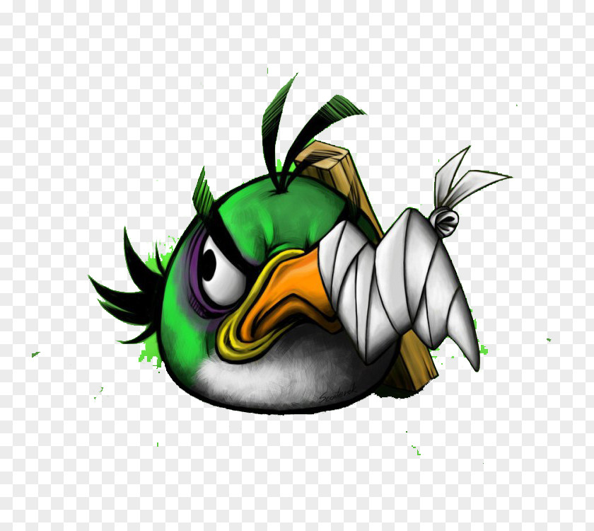 Green Wounded Angry Bird Birds Rio Star Wars Seasons Space PNG