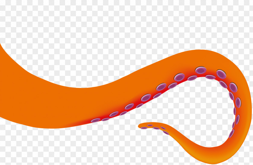 Octopus Real Line Clip Art PNG