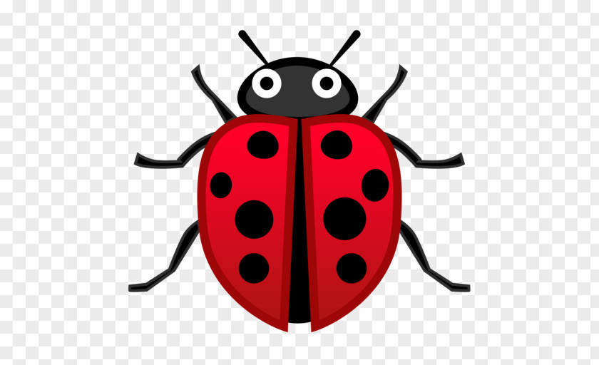 Beetle Ladybird Emoji Domain Symbol PNG