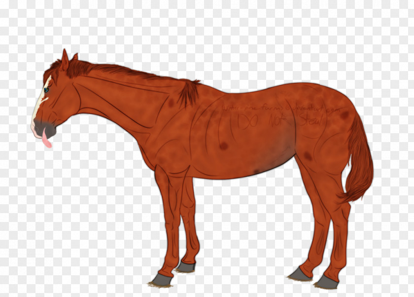 Chestnut Thoroughbred The Russian Linesman: Frontiers, Borders And Thresholds Pony Mark Wallinger: Linesman By Wallinger Artist Mustang PNG