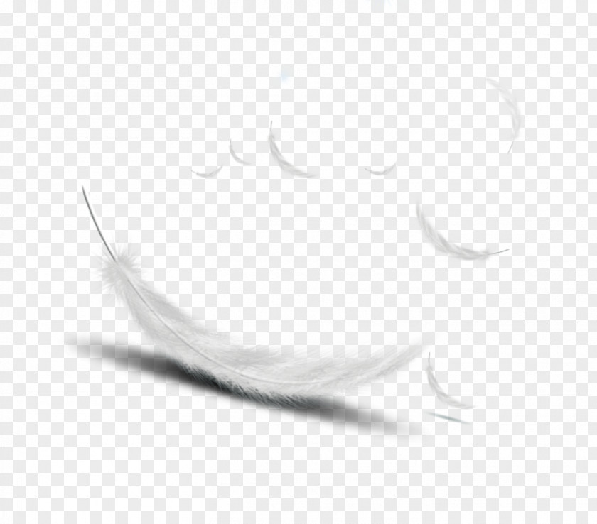 Feather Black And White Pattern PNG