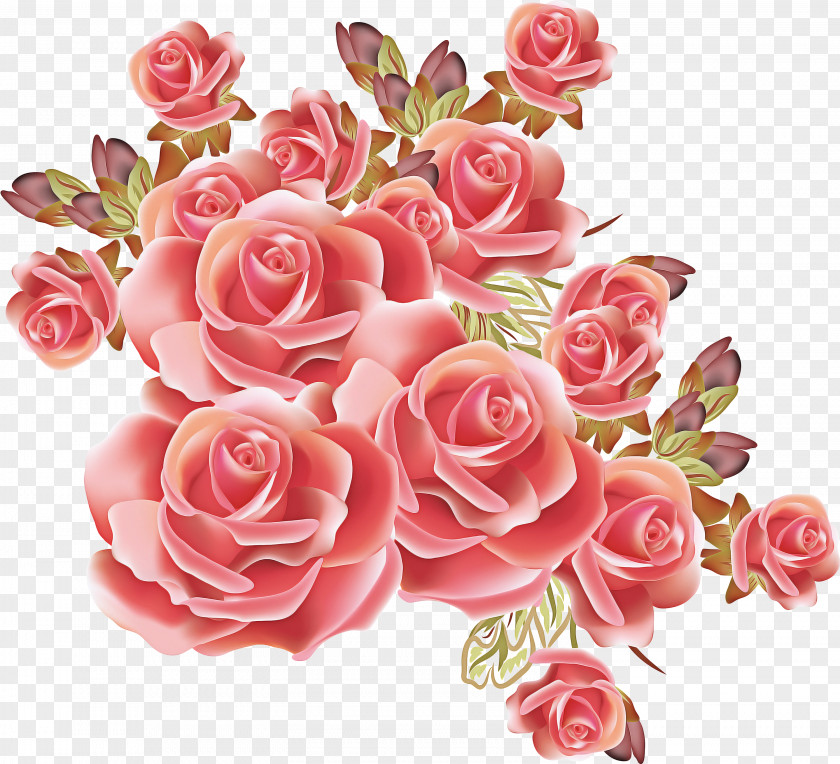 Floristry Perennial Plant Bouquet Of Flowers Drawing PNG