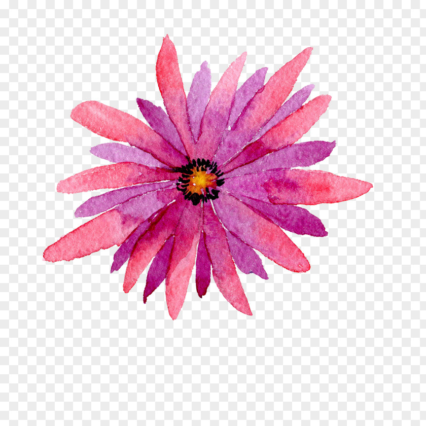 Hand-painted Watercolor Gerbera Flowers Flower Painting PNG