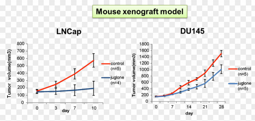 Urology PIN1 Therapy Isomerase Prostate Cancer PNG