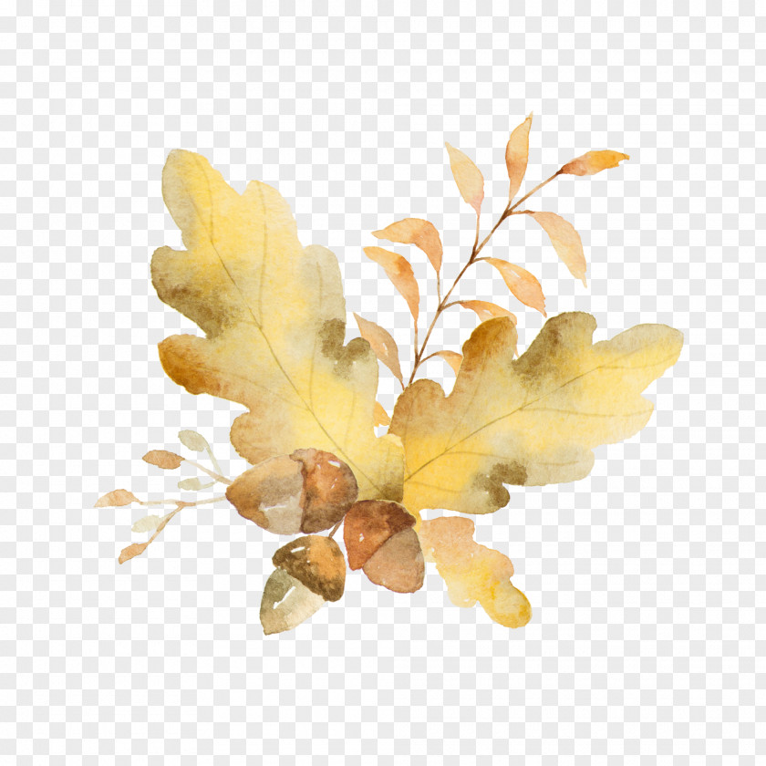 Yellow Leaf Plant Branch Flower PNG