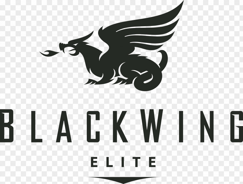 Black Wing Blackwing Builders Franchising Employment Architectural Engineering Business PNG