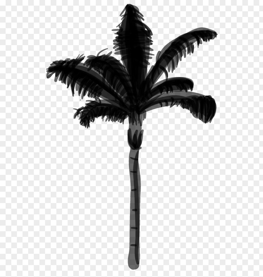 Coconut Date Palm Trees PNG