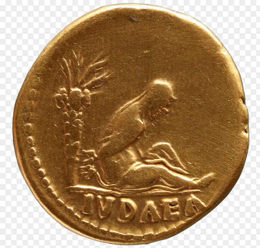 Coin Gold Medal Bronze PNG