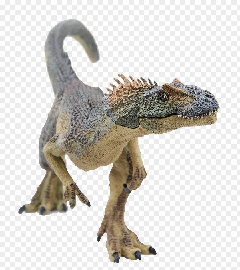 Dinosaur Models Tyrannosaurus Velociraptor Allosaurus Animal PNG