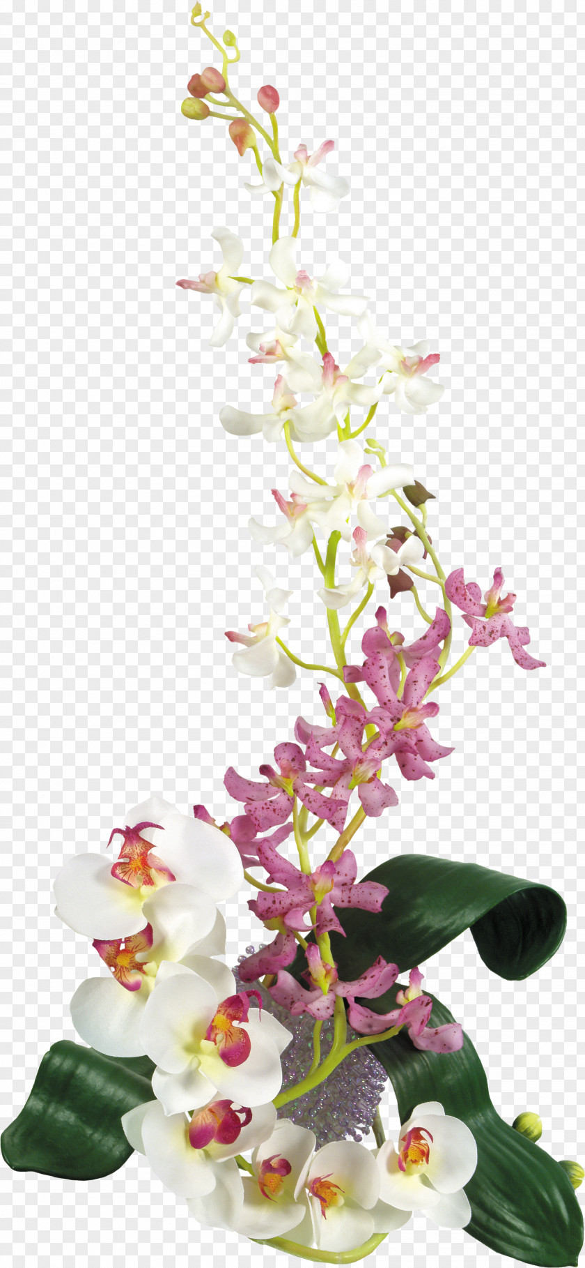 Orchids Flower Bouquet Cut Flowers PNG