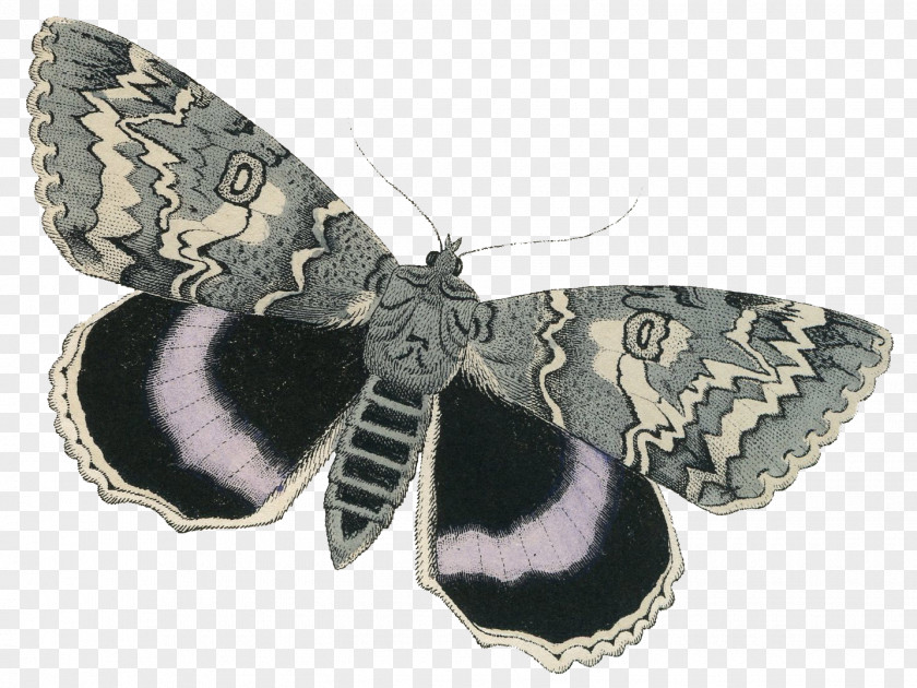 Butterfly Fairy Moth Napa Home & Garden Art PNG