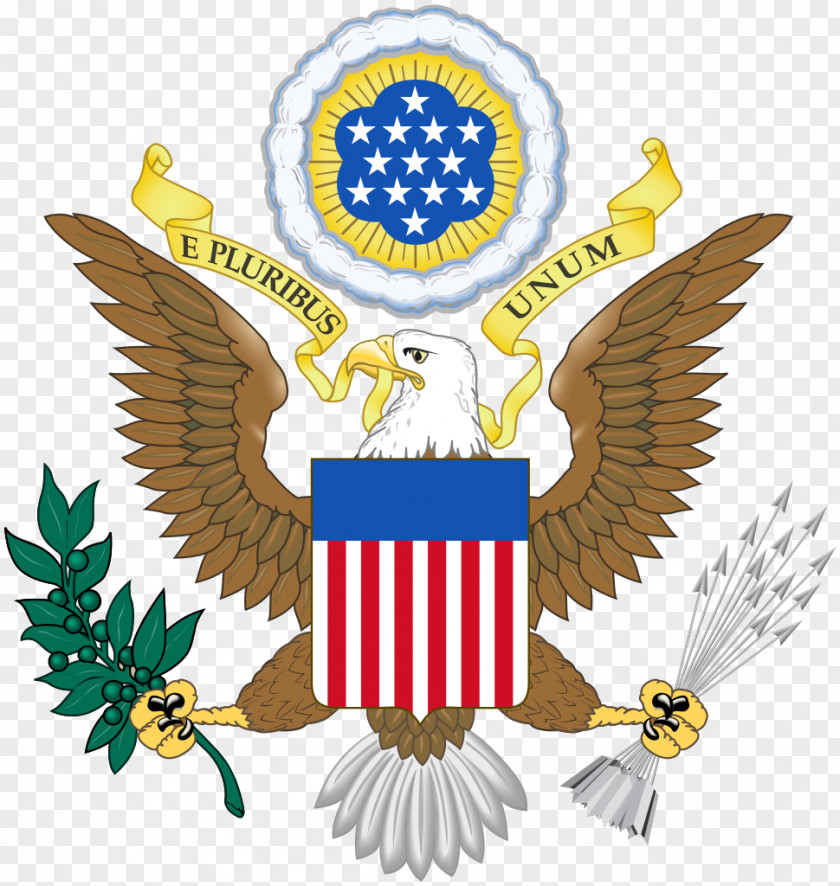 Great Seal Of The United States Coat Arms Federal Government Flag PNG