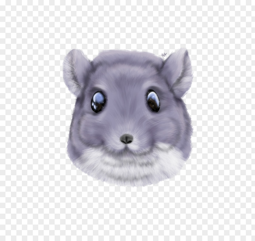 Mouse Gerbil Hamster Dormouse Whiskers PNG