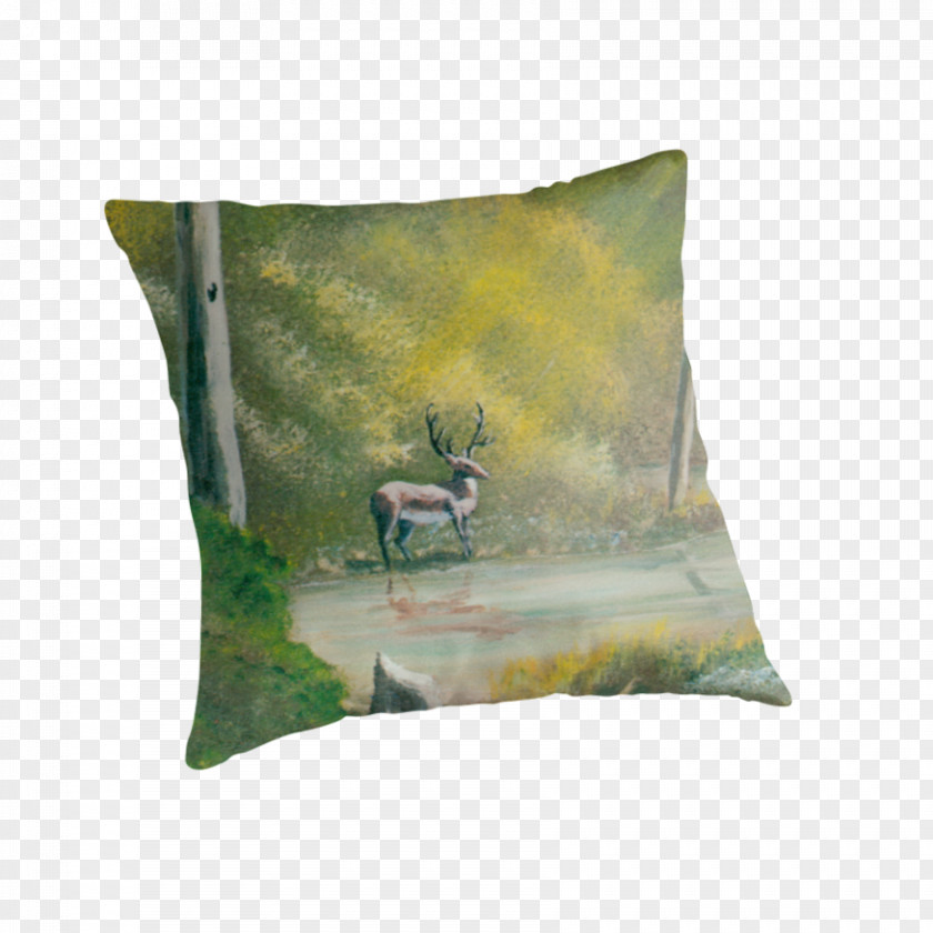 Acrylic Paint Throw Pillows Cushion PNG