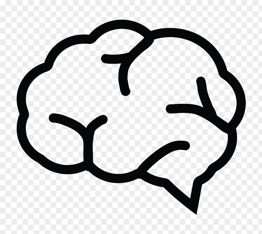 Brain Image Symbol PNG