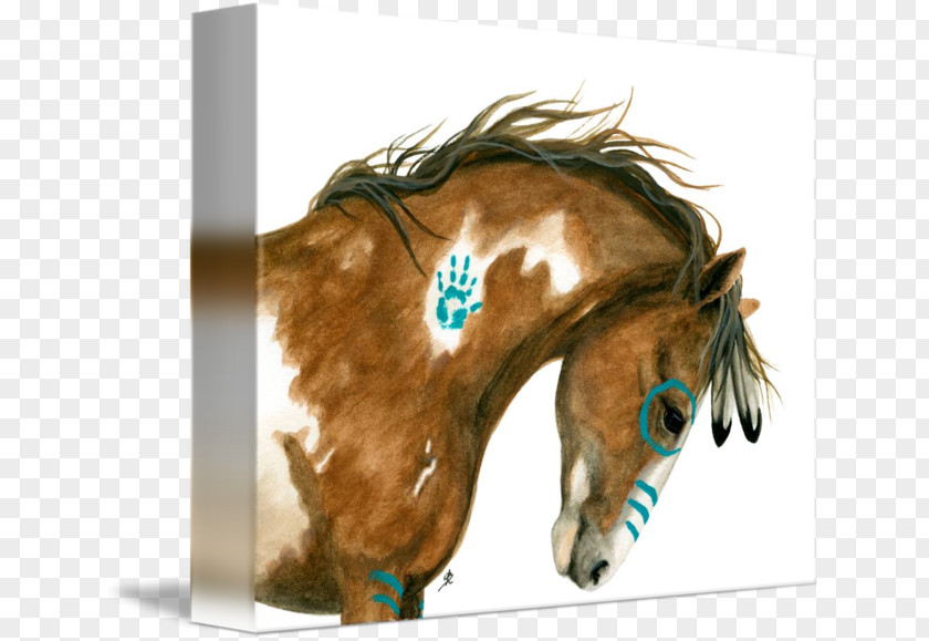 Pinto Horse The Fair Painting Mane Mustang Pony PNG