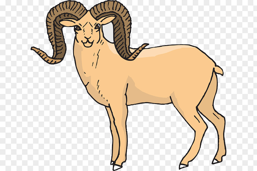 Sheep Bighorn River Dall Clip Art PNG