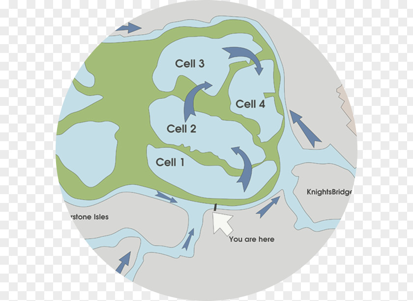 Water Intaka Island Map Organism PNG