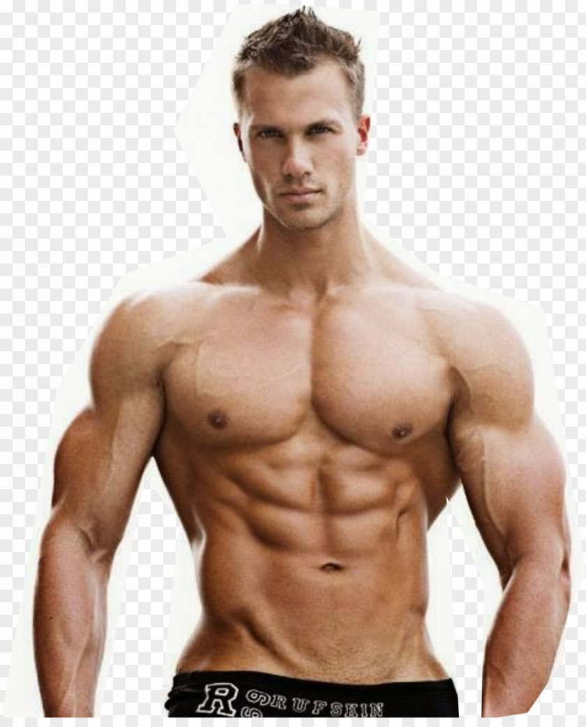 Bodybuilding Supplement Body Builders Bodybuilding.com Muscle PNG