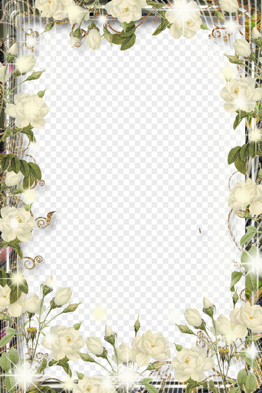 Border Frame Lace PNG frame lace clipart PNG