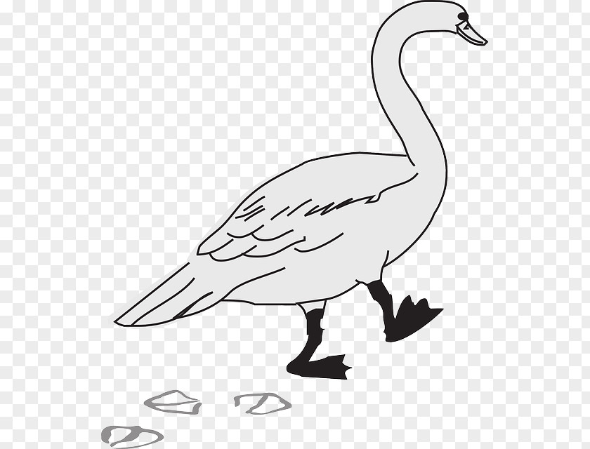 Goose Duck Bird Clip Art PNG